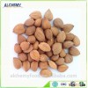 Chinese apricot kernel for sale