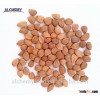 China product apricot kernel