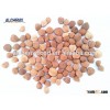 China Supplier sweet apricot kernel
