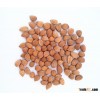 European standard apricot kernel