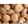 sweet apricot kernel