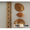 2016 Bitter Apricot Kernels