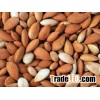 Bitter Apricot Kernels
