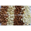 Organic apricot kernel