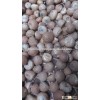 BETEL NUTS / KERNELS