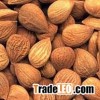 Baked Apricot Kernels