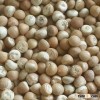 Supply Betel Nut From Vietnam With Best Price And High Quality