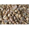 DESIRED PRICE FOR HIGH QUALITY ARECA NUTS