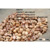 DRIED BETEL NUT / VIETNAM BETEL NUT