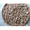 BETEL NUT - ARECA NUT