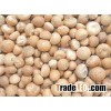 Vietnam Whole Betel Nut