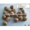 BETEL NUTS