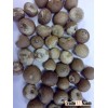 BETEL NUTS 80% GOOD VIETNAM