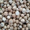 Dried Betel Nut (Areca nut )High Quality and Cheap Price From Vietnam