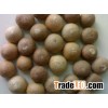 betel / areca nut best pirce vietnam origin