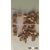 Betel Nuts
