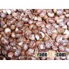 Betel Nuts, Whole and Split Betel Nut Grade A for sale