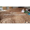 Dried Betel Nut High Quality From Vietnam