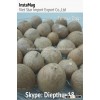 Dried Vietnam whole betel nut new season 2014