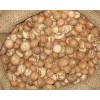 Dried Betel Nut