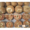 DRIED BETEL NUT
