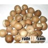 DRIED WHOLE BETEL NUT_ 100% SUN AND HIGH DRY