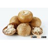 Natural Raw Dried Betel Nuts for sale