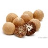 Betel nuts