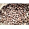 Dried Betel Nuts / Almonds / Walnut Without & with Shell.