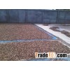 Almond,Peanut Hull,Apricot Kernels,Betel Nuts,For Sale with Low Price
