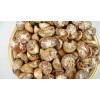HOT SALE Dried Betel Nuts for sale