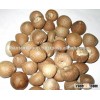 BETEL NUT VIETNAM SPLIT/ WHOLE WITH OUR OWN FACTORY