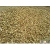 Betelnut Split Good Cut