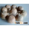 Whole Betel nut