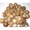 Fresh/Dried Betel Nut