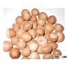 HOT SALE - BETEL NUTS FROM THAILAND - HIGH QUALITY