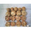 VIETNAM WHOLE DRIED BETEL NUT HIGH QUALITY COMPETITIVE