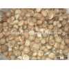BETEL NUTS / KERNELS HIGH QUALITY BEST PRICE