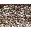 HOT SALE - BETEL NUTS FROM THAI - HIGH QUALITY