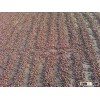 VIETNAM WHOLE DRIED BETEL NUT, SPLIT BETEL NUT, SLICE BETEL NUT MOISTURE 10%