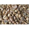 DRIED ORGANIC BETEL NUT - WHITE COLOR - BIG SALE FOR BANGLADESH