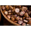 VIETNAM SLICED BETEL NUT BEST PRICE FOR BANGLADESH