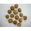 VIETNAM ORGANIC WHOLE AND SPLIT BETEL NUT BIG SALES