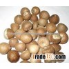 Dried Betel Nut High Quality