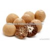 Vietnam Betel nut CHEAP PRICE for wholesale(Emma:+84965152844)