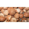2016 Dried Split / whole Mature Betel Nut