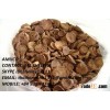 Dried Betel Nut / Areca nut