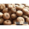 HIGH QUALITY ARECA NUTS - BEST PRICE