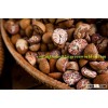 HIGH PRICE AND EXTREMELY HIGH QUALITY BETEL NUTS (ARECA NUTS)