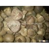Dried Betel Nut Best Price